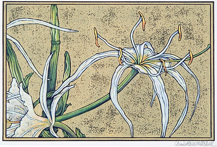Swamp Lily, 7 x 10.25 inches, foam block print, Annette Mitchell